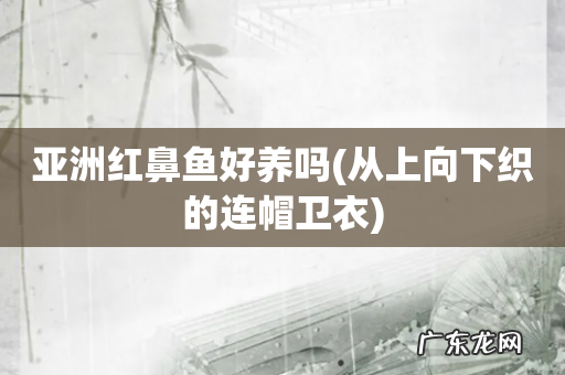 从上向下织的连帽卫衣 亚洲红鼻鱼好养吗