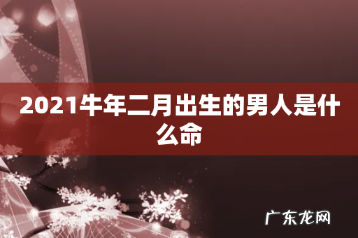 2021牛年二月出生的男人是什么命