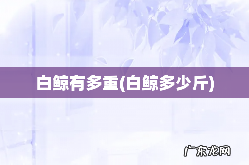 白鲸多少斤 白鲸有多重