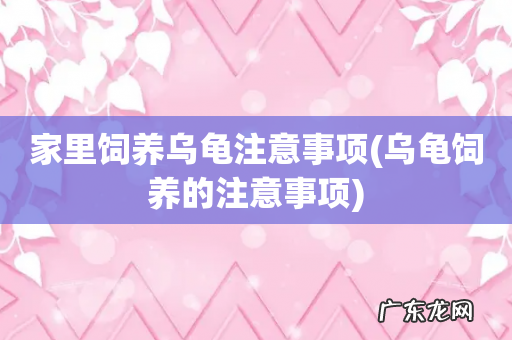 乌龟饲养的注意事项 家里饲养乌龟注意事项