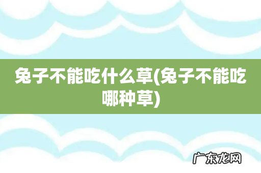 兔子不能吃哪种草 兔子不能吃什么草