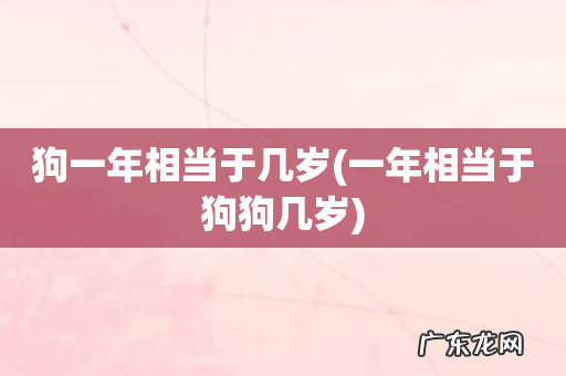 一年相当于狗狗几岁 狗一年相当于几岁