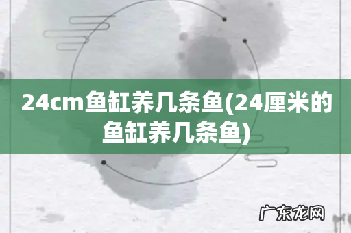 24厘米的鱼缸养几条鱼 24cm鱼缸养几条鱼