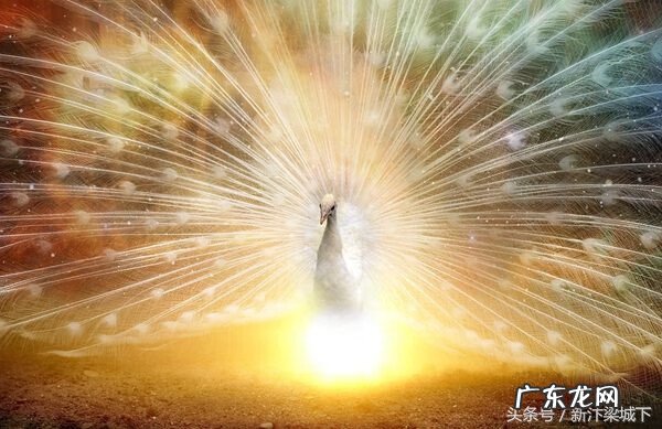 科学的角度怎么解释风水 真正风水的学术