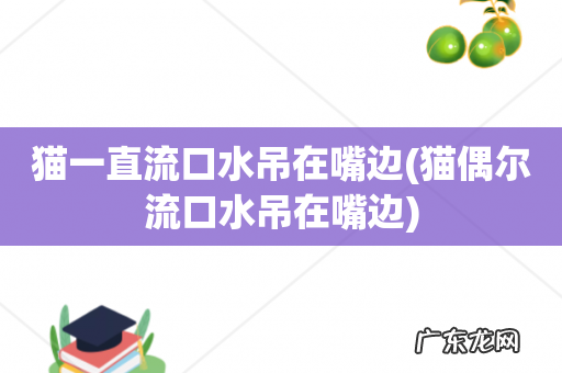 猫偶尔流口水吊在嘴边 猫一直流口水吊在嘴边