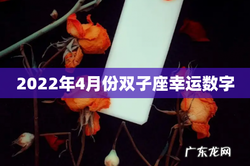 2022年4月份双子座幸运数字