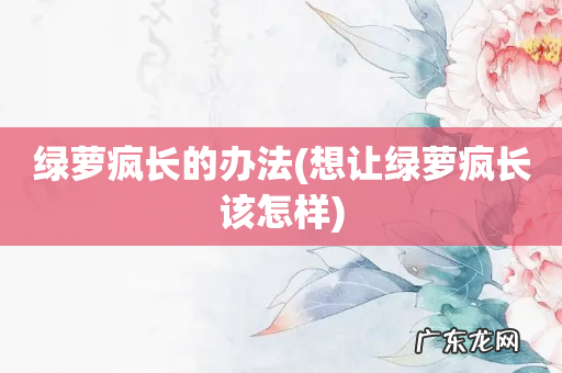 想让绿萝疯长该怎样 绿萝疯长的办法