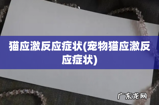 宠物猫应激反应症状 猫应激反应症状