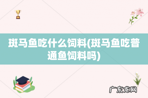 斑马鱼吃普通鱼饲料吗 斑马鱼吃什么饲料
