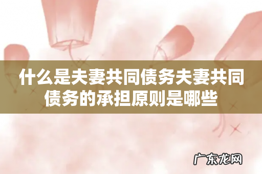 什么是夫妻共同债务夫妻共同债务的承担原则是哪些