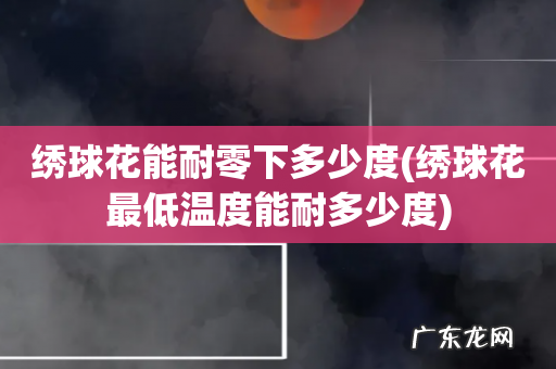 绣球花最低温度能耐多少度 绣球花能耐零下多少度