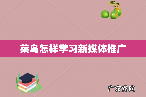 菜鸟怎样学习新媒体推广