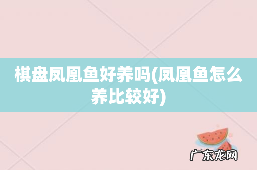 凤凰鱼怎么养比较好 棋盘凤凰鱼好养吗