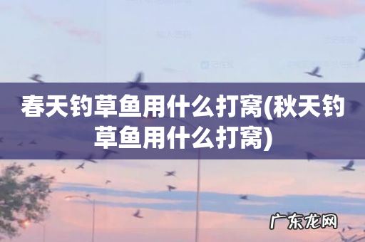 秋天钓草鱼用什么打窝 春天钓草鱼用什么打窝