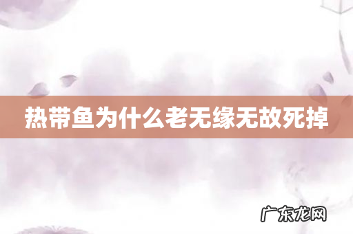 热带鱼为什么老无缘无故死掉