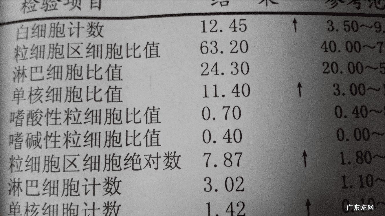 血常规检查结果主要看哪几项 血常规检查结果怎么看?