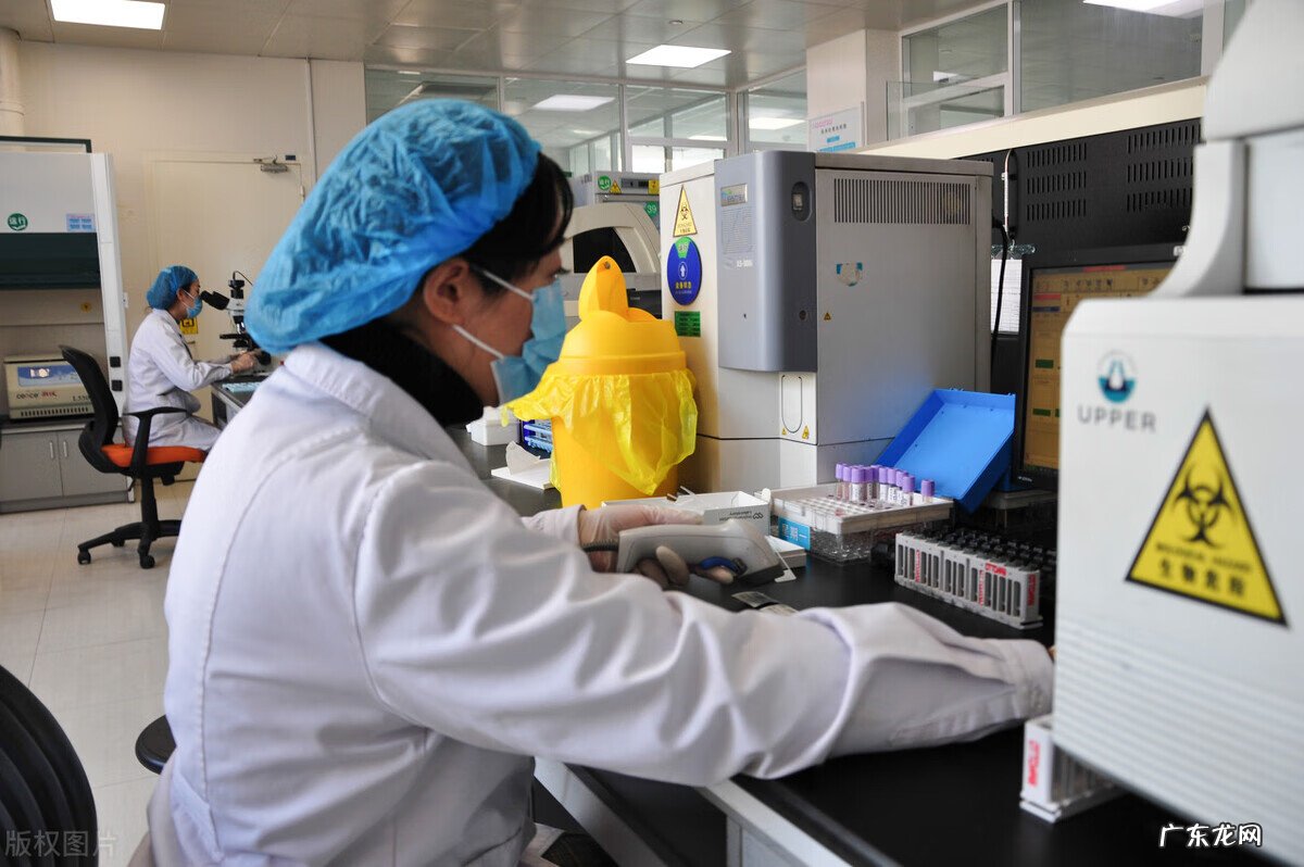 血常规检查结果主要看哪几项 血常规检查结果怎么看?