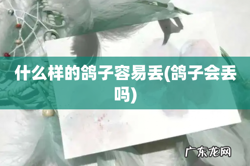 鸽子会丢吗 什么样的鸽子容易丢