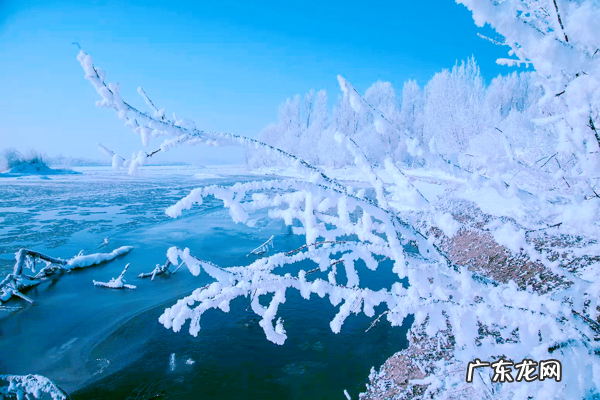 中国一年四季都冷的地方 什么地方一年四季冷