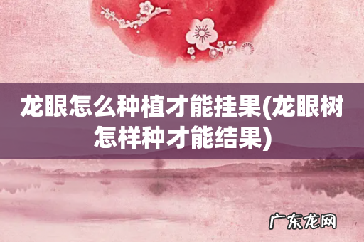 龙眼树怎样种才能结果 龙眼怎么种植才能挂果