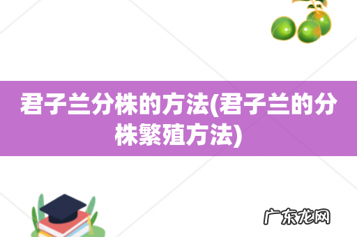 君子兰的分株繁殖方法 君子兰分株的方法