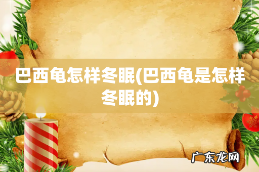 巴西龟是怎样冬眠的 巴西龟怎样冬眠