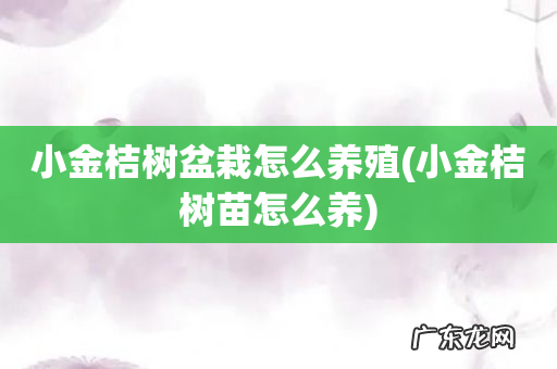 小金桔树苗怎么养 小金桔树盆栽怎么养殖