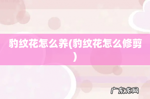 豹纹花怎么修剪 豹纹花怎么养