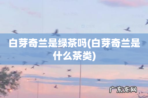 白芽奇兰是什么茶类 白芽奇兰是绿茶吗