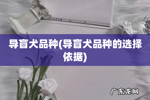 导盲犬品种的选择依据 导盲犬品种