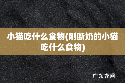 刚断奶的小猫吃什么食物 小猫吃什么食物