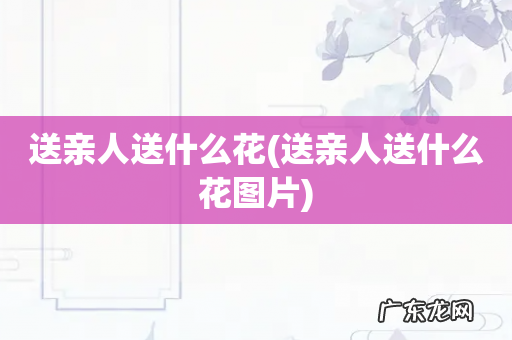 送亲人送什么花图片 送亲人送什么花
