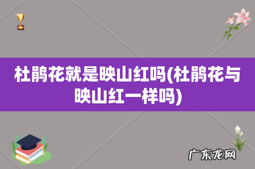 杜鹃花与映山红一样吗 杜鹃花就是映山红吗