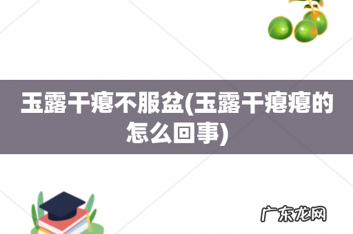 玉露干瘪瘪的怎么回事 玉露干瘪不服盆