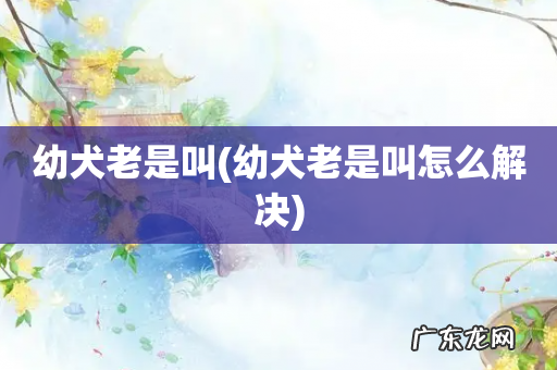 幼犬老是叫怎么解决 幼犬老是叫