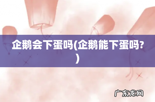 企鹅能下蛋吗? 企鹅会下蛋吗