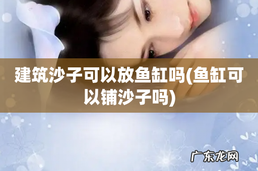 鱼缸可以铺沙子吗 建筑沙子可以放鱼缸吗