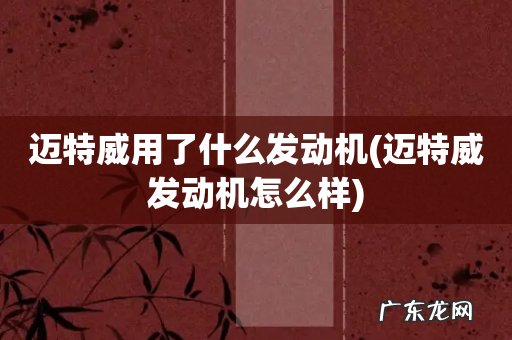 迈特威发动机怎么样 迈特威用了什么发动机