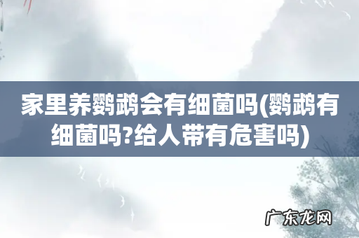 鹦鹉有细菌吗?给人带有危害吗 家里养鹦鹉会有细菌吗