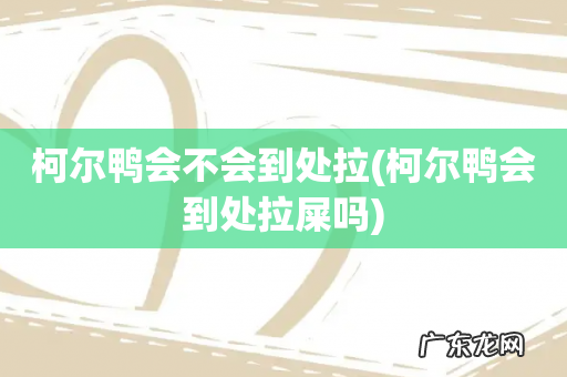 柯尔鸭会到处拉屎吗 柯尔鸭会不会到处拉