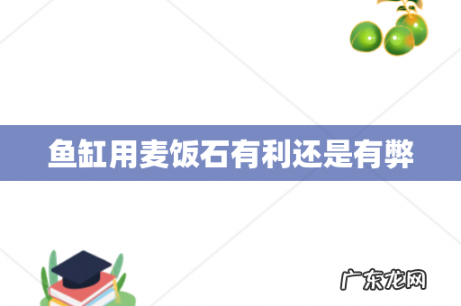 鱼缸用麦饭石有利还是有弊