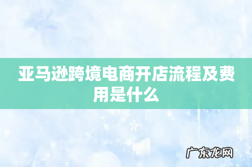 亚马逊跨境电商开店流程及费用是什么