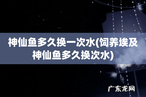 饲养埃及神仙鱼多久换次水 神仙鱼多久换一次水