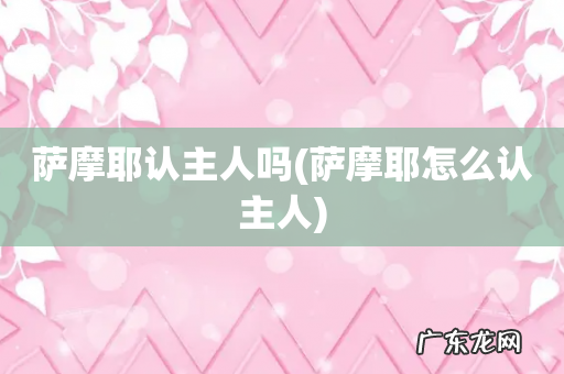 萨摩耶怎么认主人 萨摩耶认主人吗