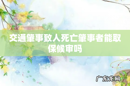 交通肇事致人死亡肇事者能取保候审吗