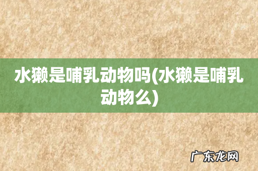 水獭是哺乳动物么 水獭是哺乳动物吗