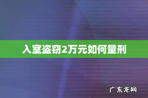 入室盗窃2万元如何量刑