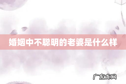 婚姻中不聪明的老婆是什么样