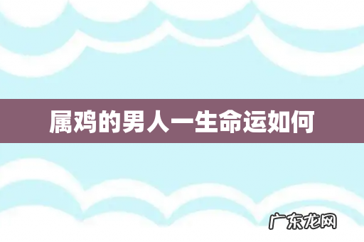 属鸡的男人一生命运如何