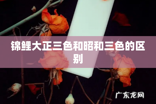 锦鲤大正三色和昭和三色的区别